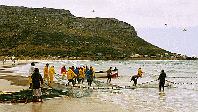 Fishermen on Fish Hoek Beach near Cape Town