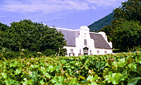 Cape Town Winelands