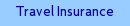 Travel Insurance