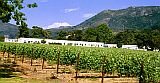 Groot Constantia Vineyards