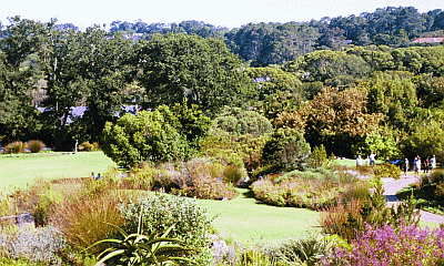 Kirstenbosch Botanical Gardens Cape Town