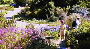Visitors enjoying Kirstenbosch Gardens