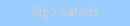 Big 5 Safaris