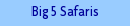 Big 5 Safaris